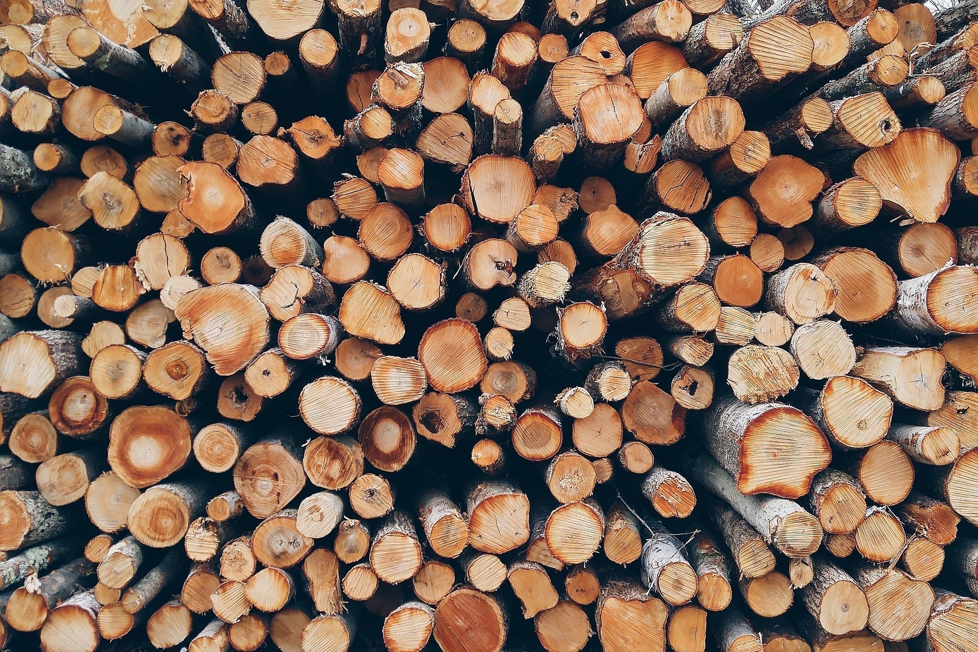 Timber vs Plastic Kitchen Chopping Boards