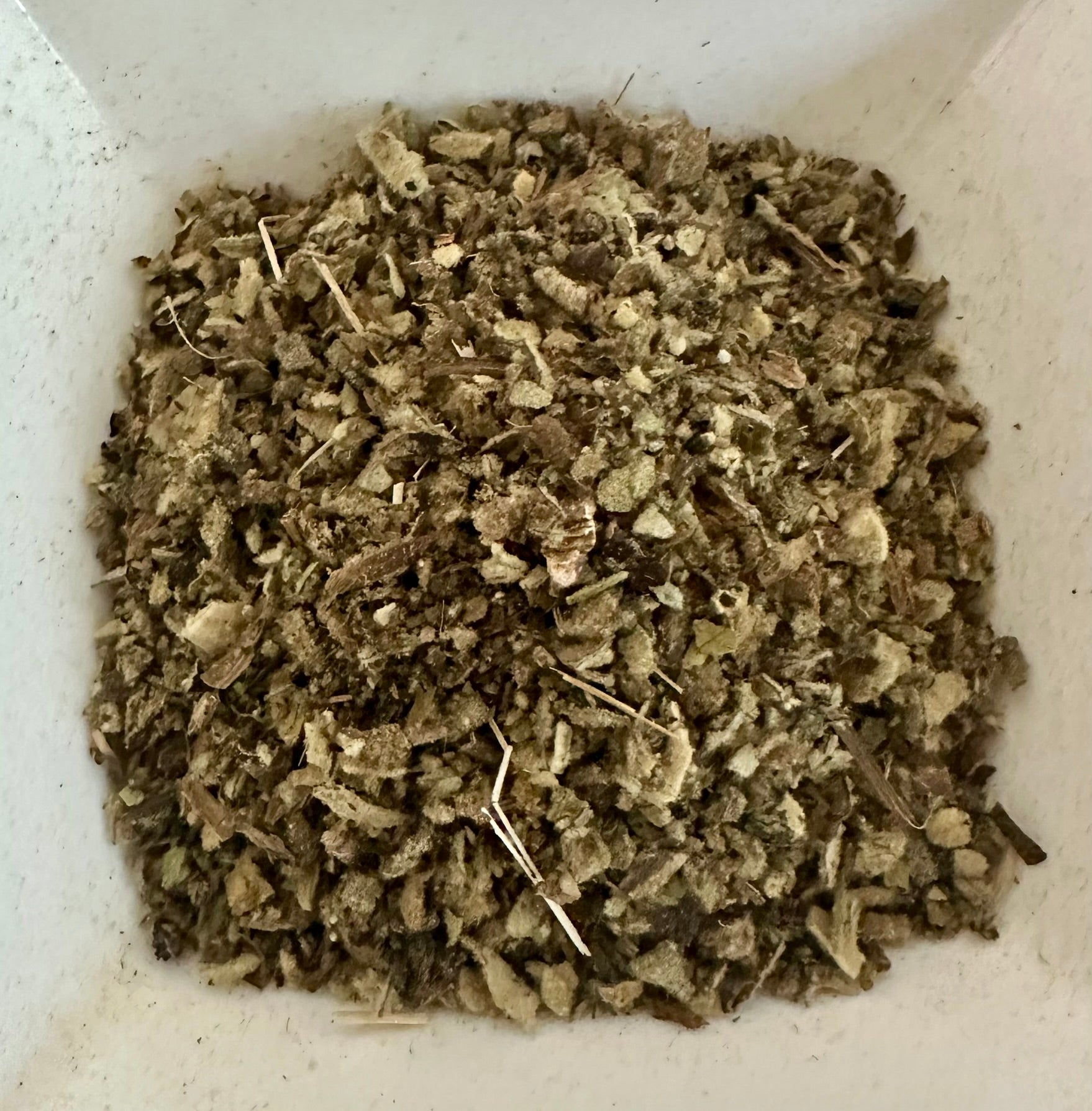 Mullein_tea_by_eumundi_herb_farm
