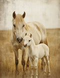 Farmhouse Journals & Notebooks | Horse & Foal