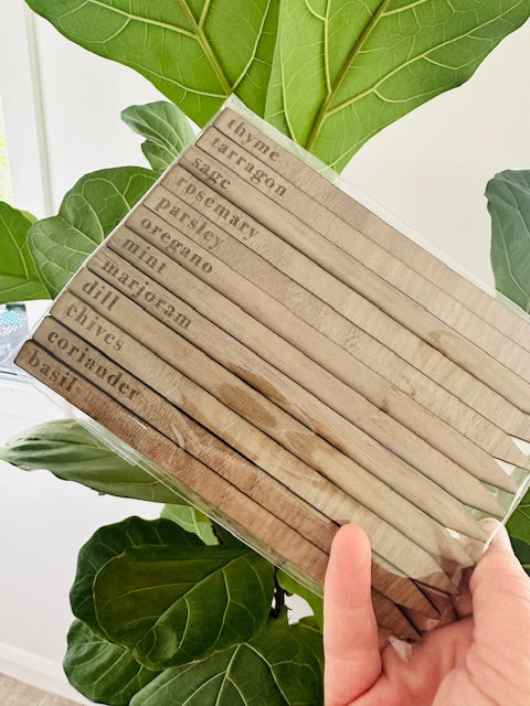 Set of wooden herb markers with plant names on them, held in front of green leaves.
