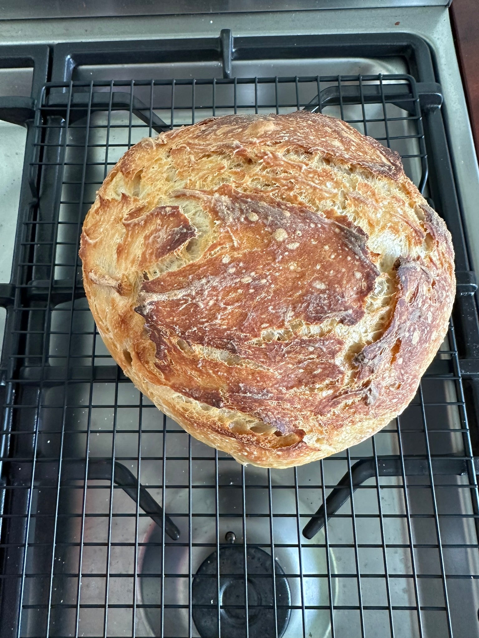 Farmhouse Kitchen Starter Kit | Sourdough and Bread Baking