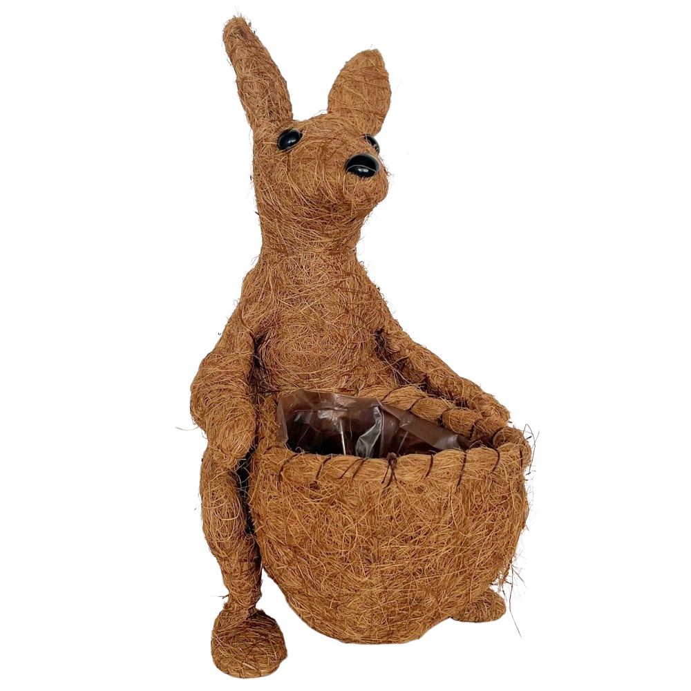 Coconut shell sculpture of a kangaroo with a white background