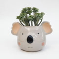 Koala Head Ceramic Pot Planter Australia