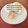 Mushroom Dirt Remover Brush