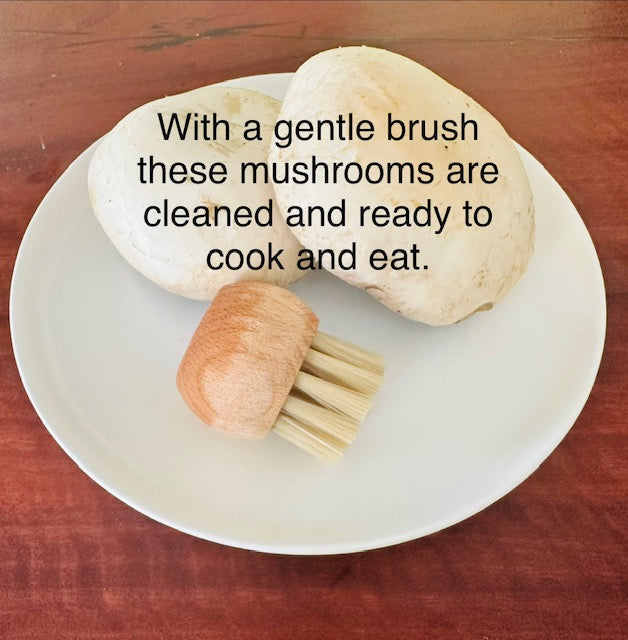 Wood Vegetable Cleaning Brush