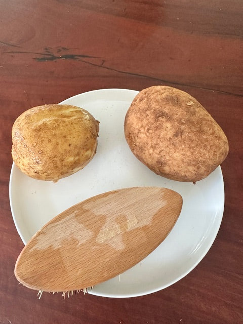 Vegetable Cleaning Brush